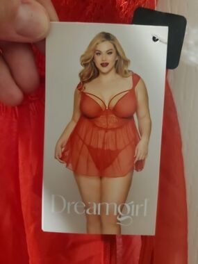 Dreamgirl Plus Size Red Babydoll Chemise 3X